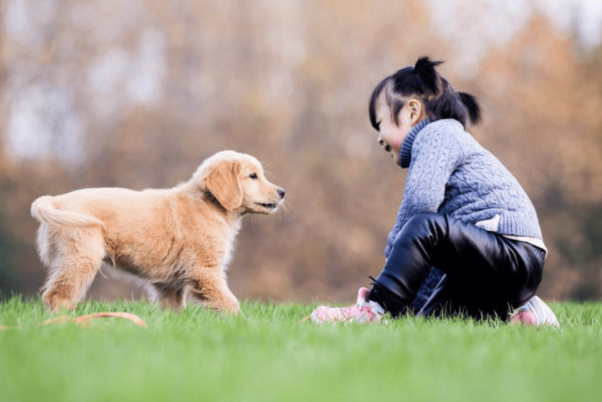 Senya84626236's tweet photo. Nothing beats coming home to a wagging tail and a warm cuddle after a long day.  #PetLove， https://t.co/TwtGZrr4yj
