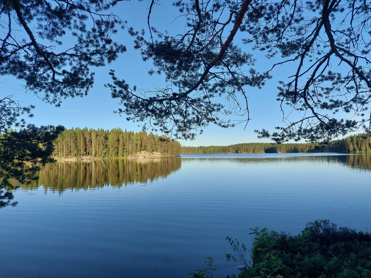 AriJoutsen's tweet photo. Vapautin itseni luontoon kun on niin hieno ilmakin, tänne saavuin. En ole nähnyt naista enkä karhua. Hyvä niin,uskaltaa teltassa sitten katsoa yön pelejä. Ensin keitän kahvit. #luontoilta https://t.co/UdRov473Gz