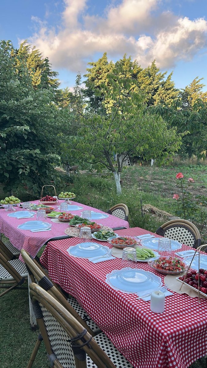 Sefwolt's tweet photo. Bazı dostluklar mezun olmaz. Yıllar geçse de aynı sofrada, aynı samimiyetle devam eder. 🍒🌿 https://t.co/mIgA2kCgPP