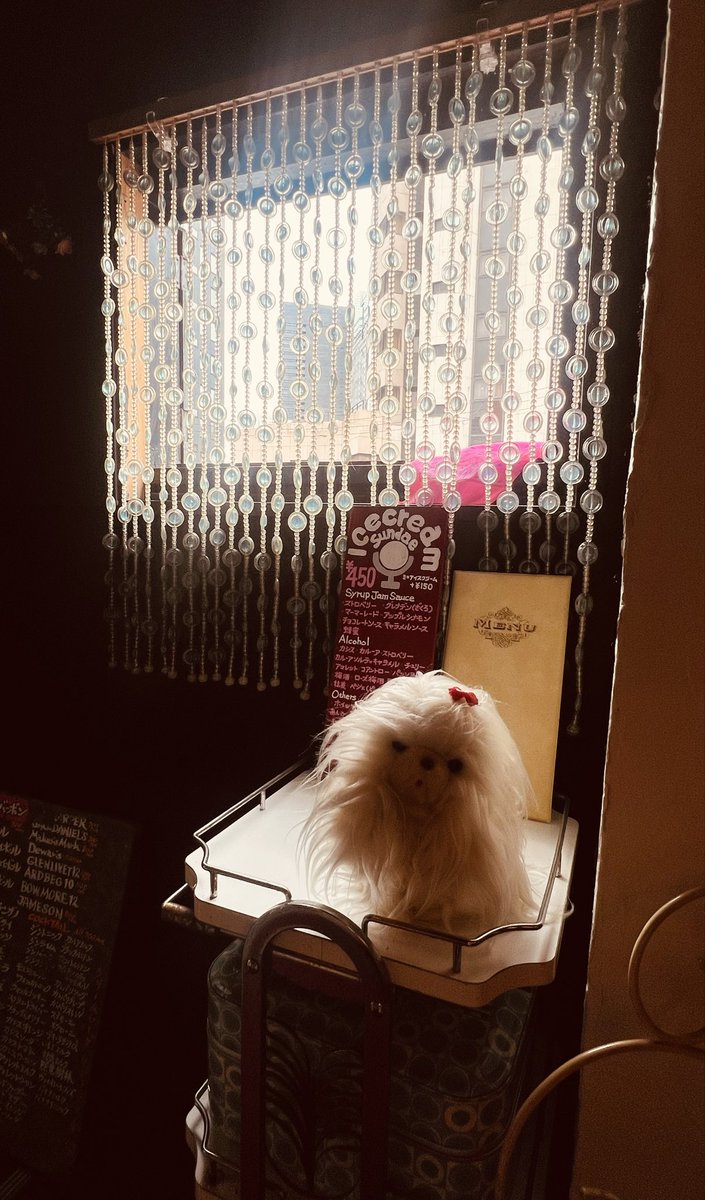 lapisreverb's tweet photo. ライブ翌日
台風の影響はさほど無くて一安心
関西の旧友のお友達のバーのお昼タイムへ
ニューコンコルドさん　めちゃくちゃ最高空間でした　内装の細部のこだわりまで素晴らしかったーここに住みたい
薔薇の梅酒が美味しかった
次回はバータイムに行く https://t.co/O2BYiXhySg