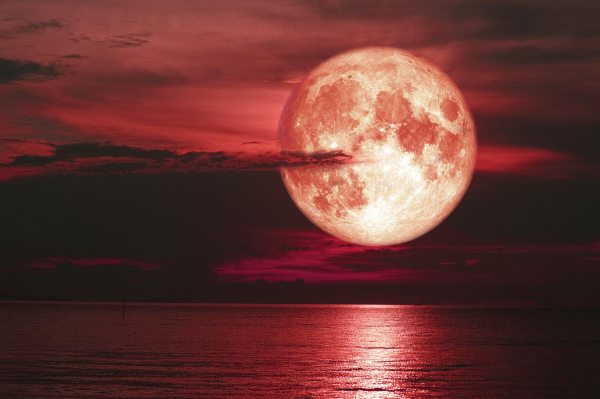 Naked Numerology ® tweet media