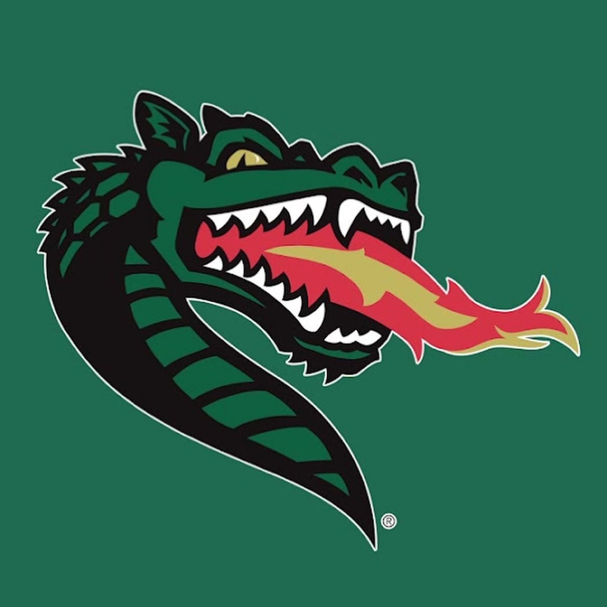AnthonyWalco11's tweet photo. Blessed to receive an offer from the University of Alabama at Birmingham https://t.co/pqBmFSBzjX