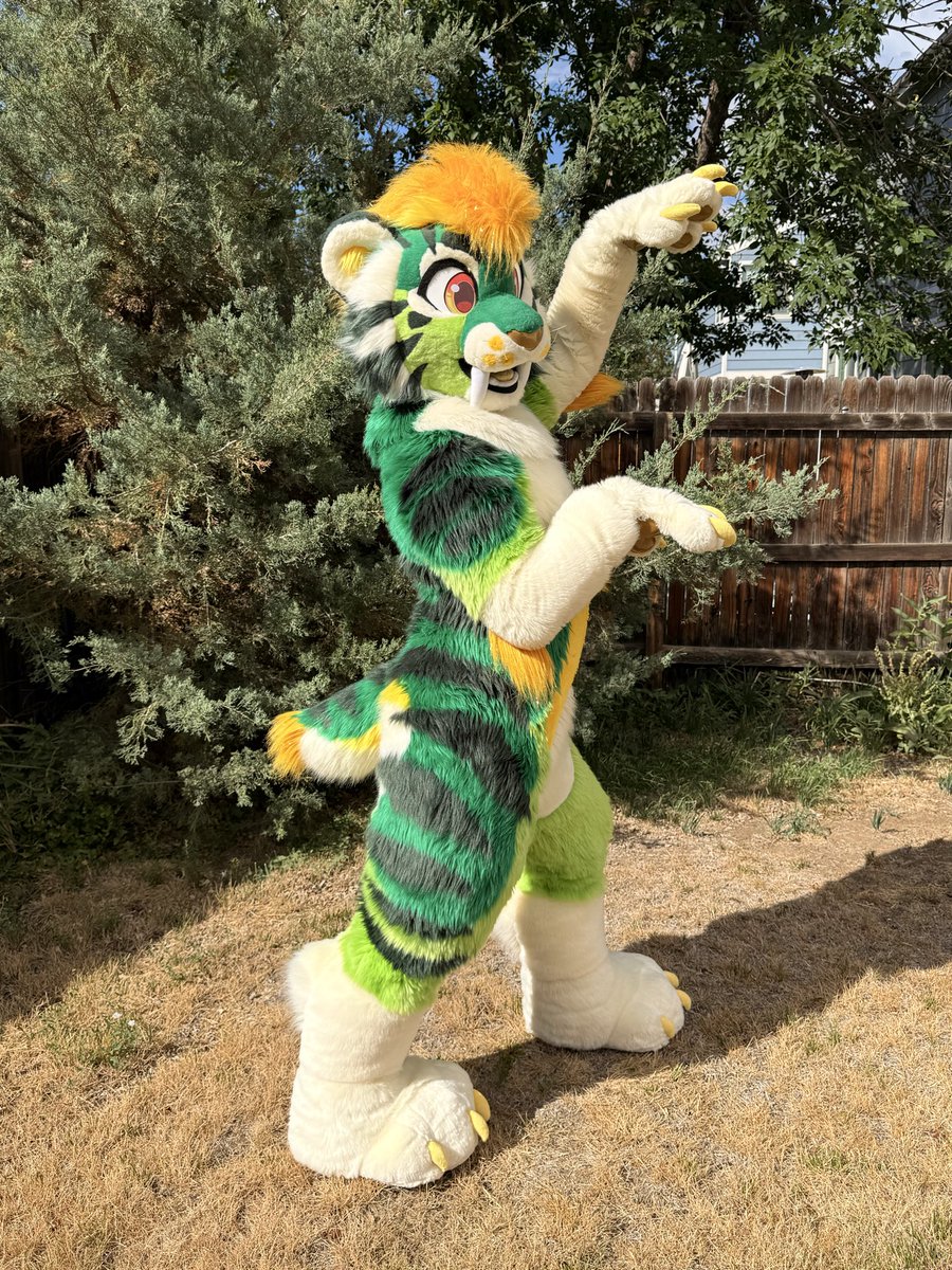WildcatCostumes tweet picture