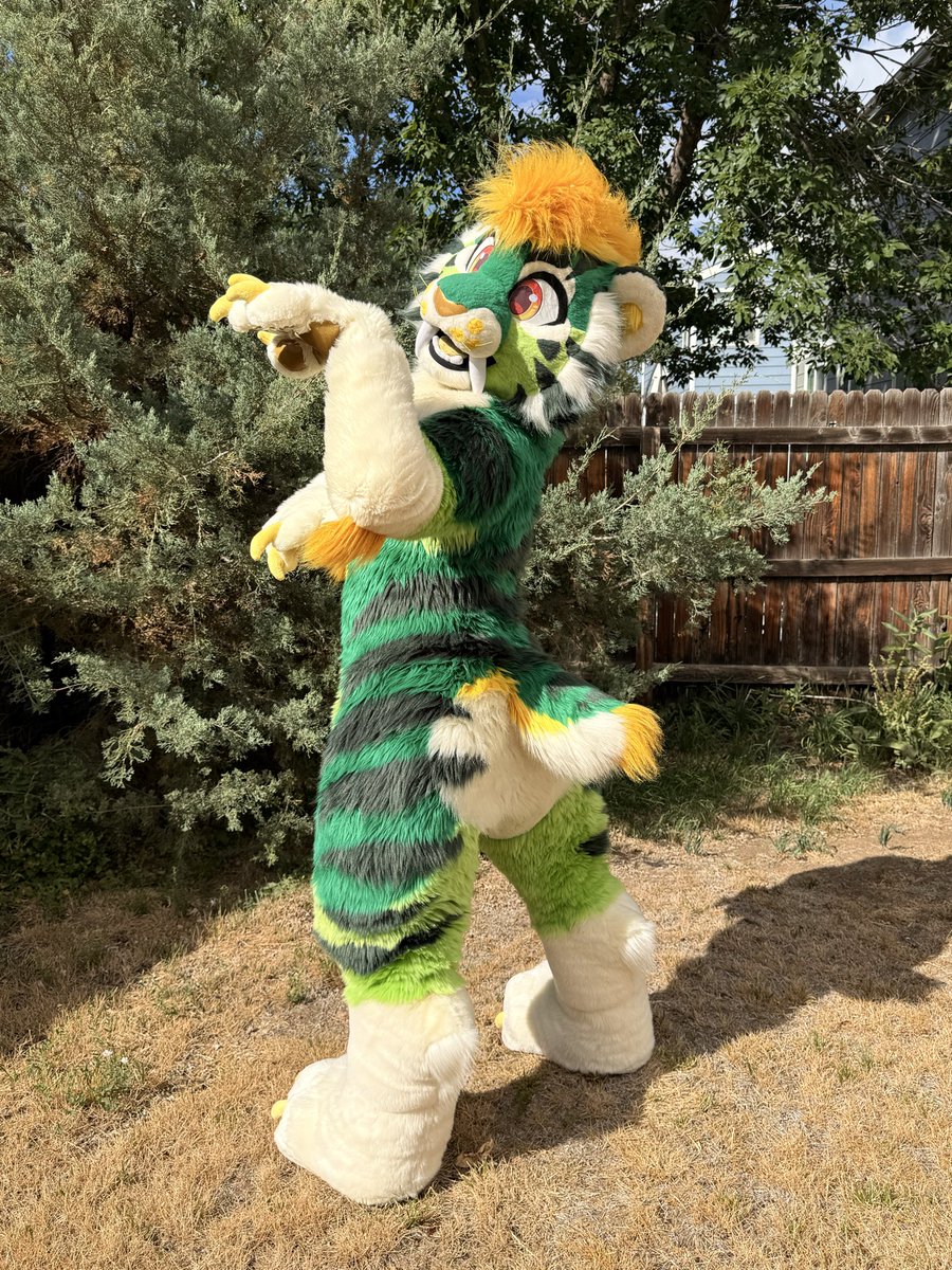 WildcatCostumes tweet picture