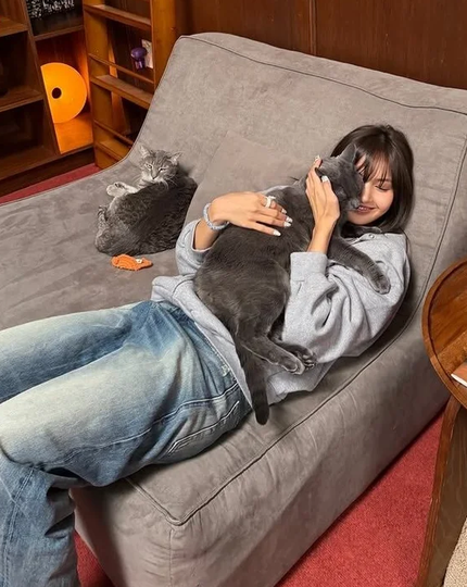 LucexHeart's tweet photo. Knetz React to Lisa Looking Completely Unbothered Amid Breakup Speculation
https://t.co/ATSR0DZQGB

#LISA #LALISA #BLACKPINK https://t.co/zsSNZw765P