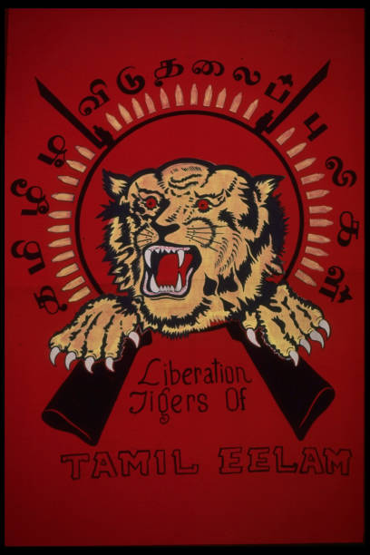 TheNextWave03's tweet photo. Tamil Eelam will never be Sri Lanka! https://t.co/rJGRaU14qD