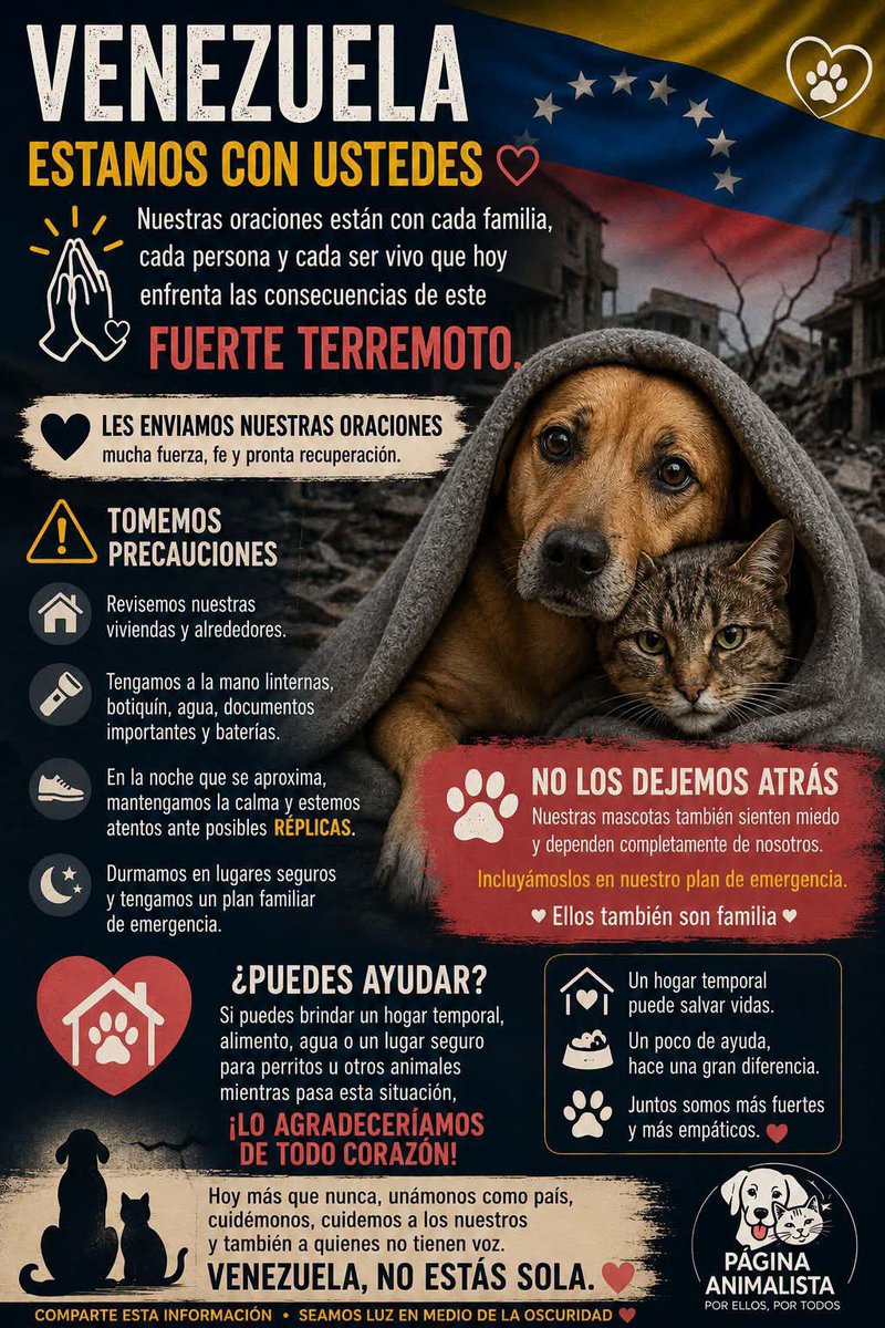 Angieoulook_'s tweet photo. Toda vida importa. Por favor, no olvidemos a los animalitos atrapados en Venezuela, ellos también necesitan ser rescatados con vida de los escombros. Toda vida vale.

https://t.co/Q47zWsdpiX

#PandillaGateX #NoTeInforma https://t.co/yMcDjjB5Ka