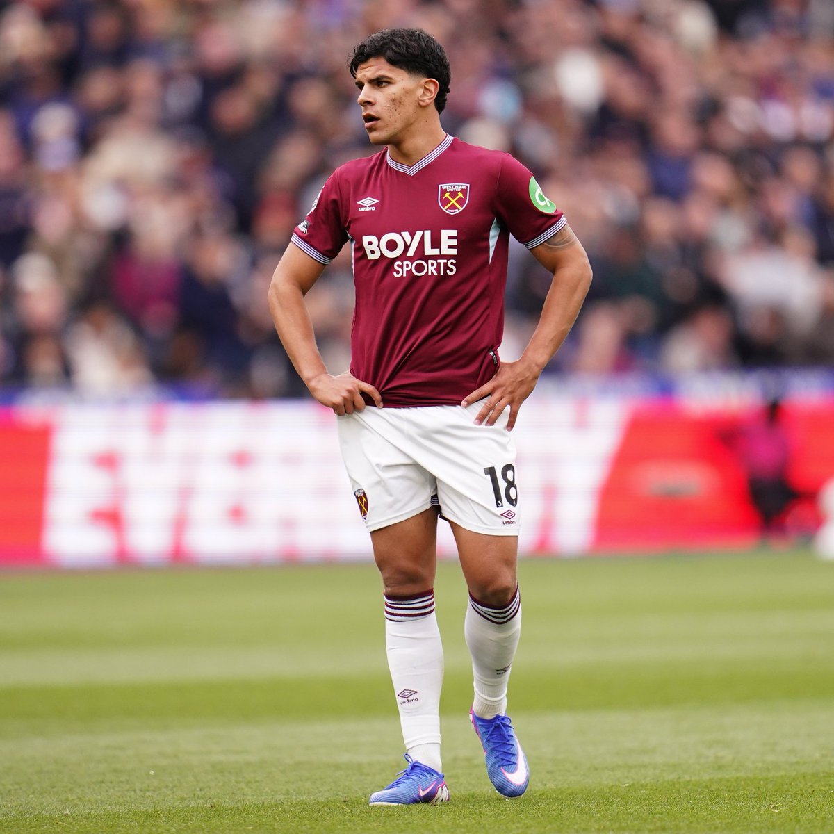 _BeFootball's tweet photo. 🚨 UNITED ET TOTTENHAM SE DISPUTENT MATEUS FERNANDES ! ❤️⚔️💙

Ils sont en discussions actives avec le joueur et West Ham, mais aucune décision n’aurait encore été prise.

Les Hammers tiennent pour l’instant leur prix demandé, alors que plusieurs prétendants restent dans la course.

(@JacobsBen)