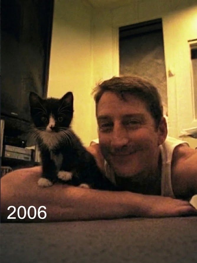 Indie5051's tweet photo. Un dueño celebra los 20 años de su gato, una edad poco común que equivale a más de 95 años humanos. https://t.co/zndCq0JKr3