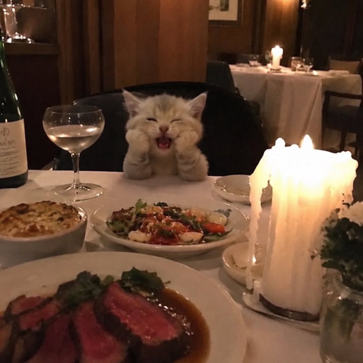 wurooods's tweet photo. my date https://t.co/tdBPgN4PjP