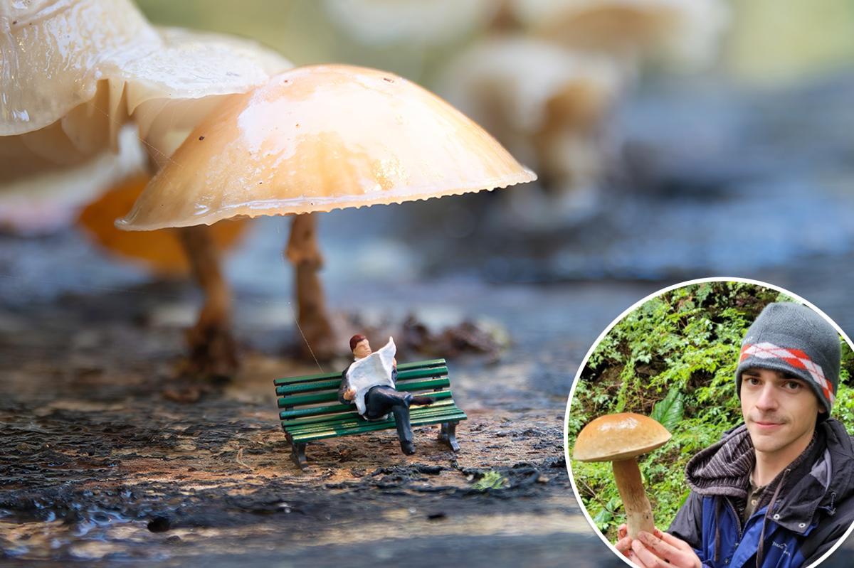 New magic mushroom makes users see tiny ‘gnome’ people — scientists have no idea how it’s doing that - New York Post