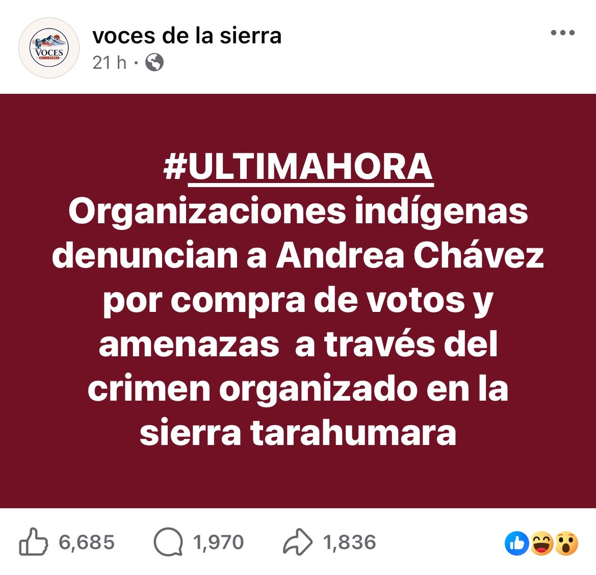 ZomVick's tweet photo. Baia baia. 

Obviamente para las autoridades es más necesario investigar quién financia los camiones de las madres buscadoras que las campañas anticipadas de las señoras busconas como ésta.

Aquí les dejo el texto de la nota por si a alguien le interesa:

———
Presentan denuncia comunidades indígenas vs Andrea Chávez; vinculan presunta campaña con crimen organizado

El presidente del Gran Consejo Supremo Indígena de la Sierra Tarahumara, Enoel Carrasco Jordán, informó que presentó una denuncia formal ante la Fiscalía General del Estado y en el despacho de la gobernadora para solicitar una investigación sobre el origen de los recursos utilizados por la senadora con licencia Andrea Chávez, al considerar que podrían estar vinculados a actividades ilícitas.

Carrasco Jordán señaló que la petición busca que se revisen los gastos y apoyos que, aseguró, forman parte de una presunta campaña anticipada, así como la procedencia de esos recursos.

“Estamos exigiendo que se investigue de dónde vienen todos esos recursos, quién está patrocinando y quién está detrás de ella”, declaró.

El líder indígena sostuvo que dentro de las comunidades serranas existe preocupación por lo que calificó como un aumento en la inseguridad y la presencia de grupos delictivos que, según afirmó, buscan ampliar operaciones en la región.

En ese sentido, aseguró que hay denuncias de intentos por instalar laboratorios clandestinos para la producción de fentanilo y cristal en la Sierra Tarahumara, situación que, dijo, ha generado temor entre las comunidades originarias.

Carrasco Jordán acusó que personas ajenas a la región han intentado tomar posesión de tierras en zonas serranas, con el objetivo de utilizarlas para actividades ilícitas, lo que consideró una amenaza directa para los pueblos indígenas.

Además, señaló que existen señalamientos sobre supuestas prácticas de coacción política hacia integrantes de comunidades indígenas mediante apoyos económicos y promesas de beneficios, lo cual pidió que también sea investigado por las autoridades electorales.

A través de un posicionamiento público, el Gran Consejo Supremo Indígena manifestó su inconformidad por el clima de violencia e inseguridad que, aseguraron, se ha agravado en los últimos años y exigieron transparencia en el financiamiento político, así como mayor atención a las comunidades serranas.

Hasta el momento, ni Andrea Chávez ni representantes de Morena han emitido una postura oficial sobre estas acusaciones.

Tomado de la página “Voces de la Sierra” en Facebook.