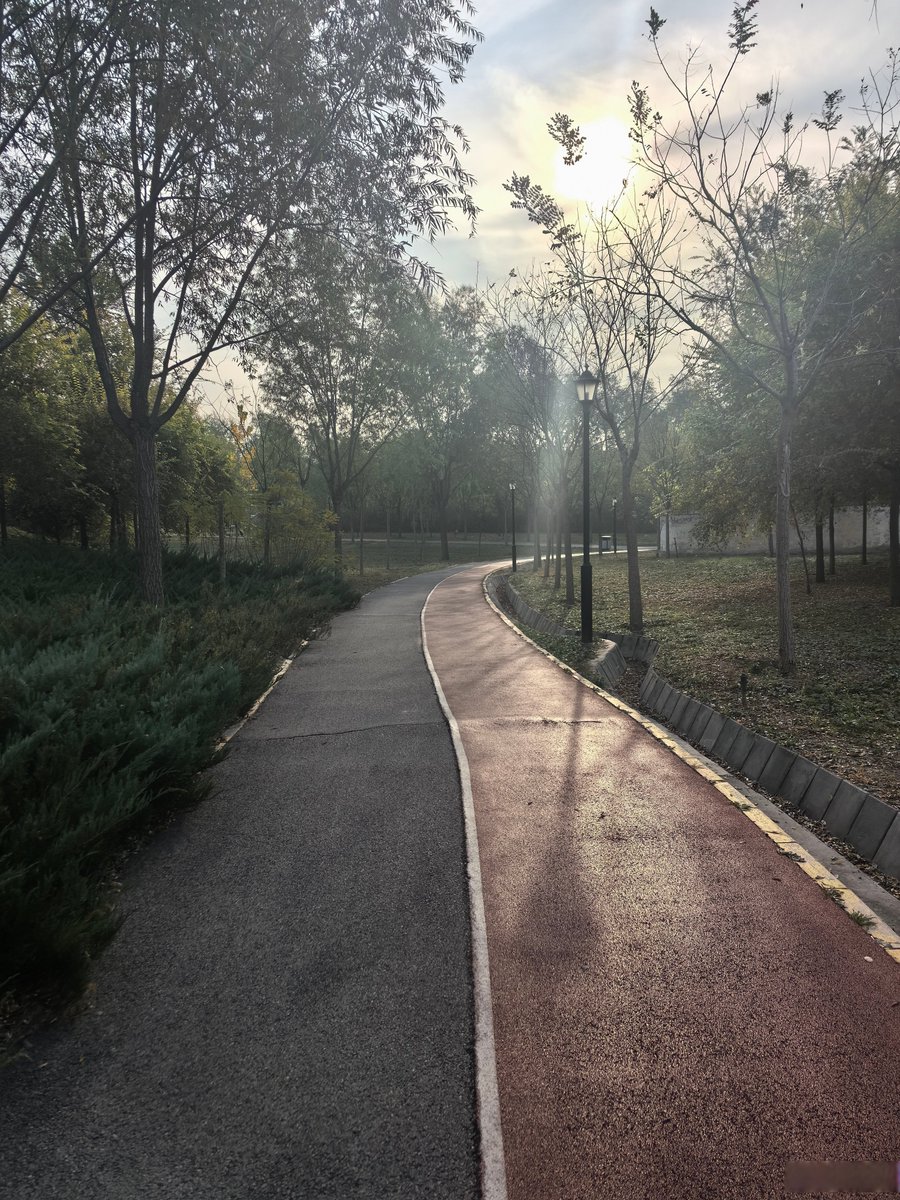 AlisonG65742241's tweet photo. [1 year ago I hated my morning runs. Today, they’re my favorite part of the day—small shifts hit different ]， https://t.co/Ru3JKHR6Ti
