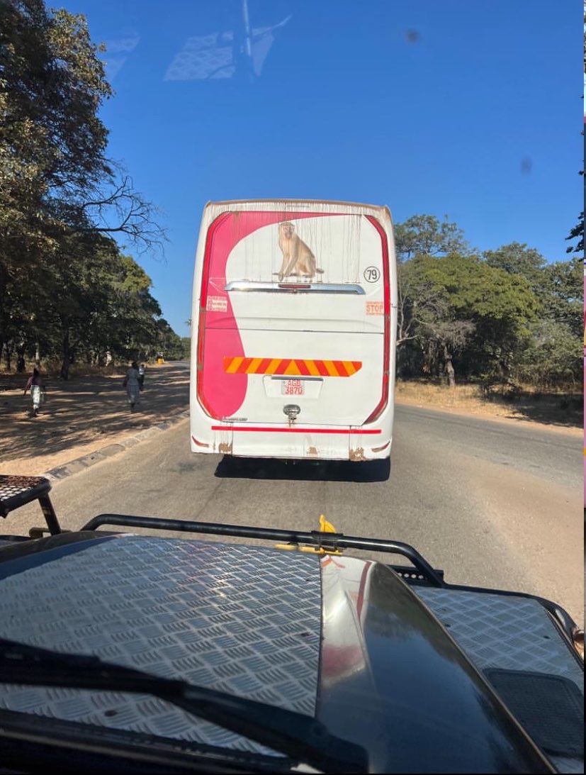 Gary161718's tweet photo. A bus belonging to Stallion Cruise (No. 79), travelling towards Victoria Falls, overtook four Painted Dog Conservation vehicles displaying hazard lights shortly after Gwayi Bridge.
The area is clearly marked with multiple wildlife warning signs, yet the driver overtook on a blind rise.
This kind of driving puts passengers, other road users and wildlife at unnecessary risk.
We urge all drivers travelling through wildlife areas to slow down, obey road rules and remember that arriving safely is more important than arriving quickly.
@PoliceZimbabwe