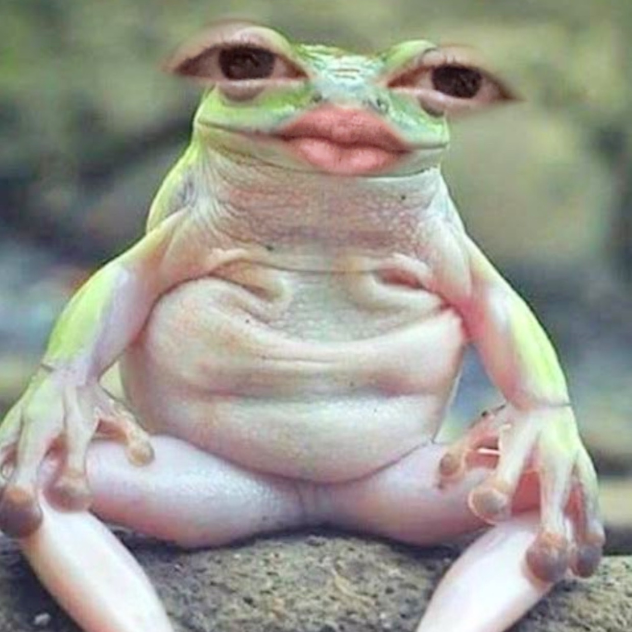 Face reveal https://t.co/RXOJNVrU6I