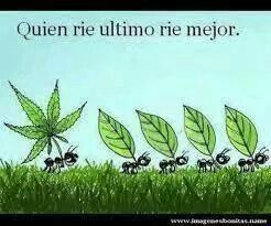 agucogollo's tweet photo. https://t.co/ETaMuGc7aq