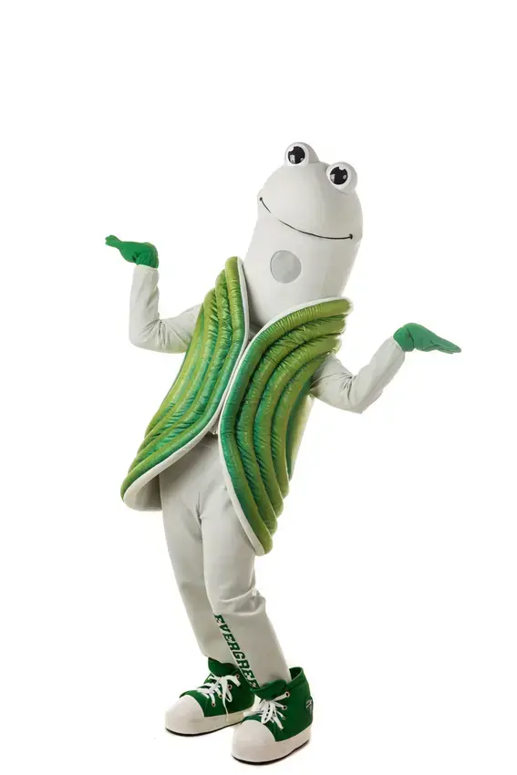 rain3owland's tweet photo. @BenHugh26422354 I was touring colleges a few years back and found out that Evergreen State College in Washington uses the pacific geoduck as a mascot! Thoughts on this? https://t.co/SvbXkkYMJe