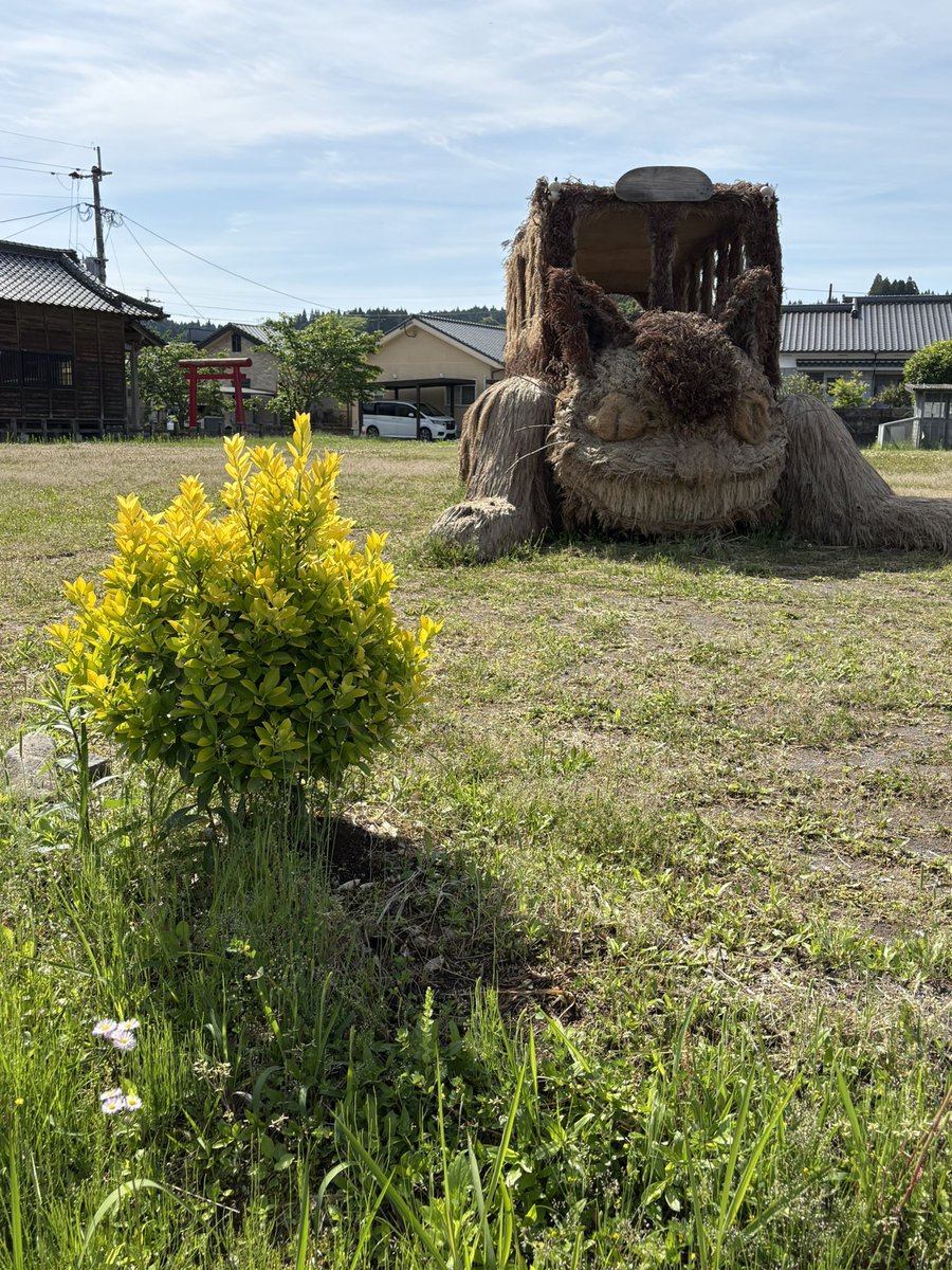ME89SS1's tweet photo. おはようございます https://t.co/rA9CBEKhPl