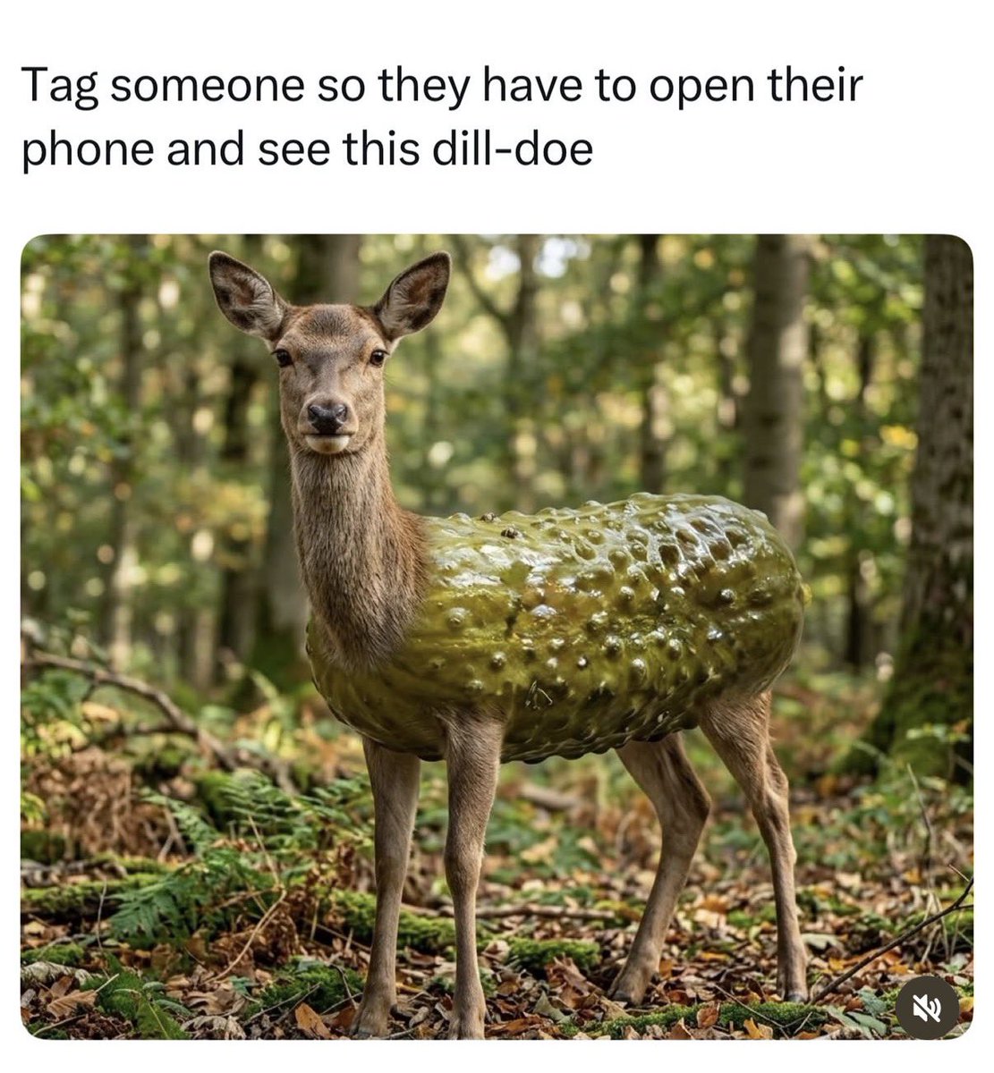 MsWhitMorganSFW's tweet photo. https://t.co/DMddnyo3VC
