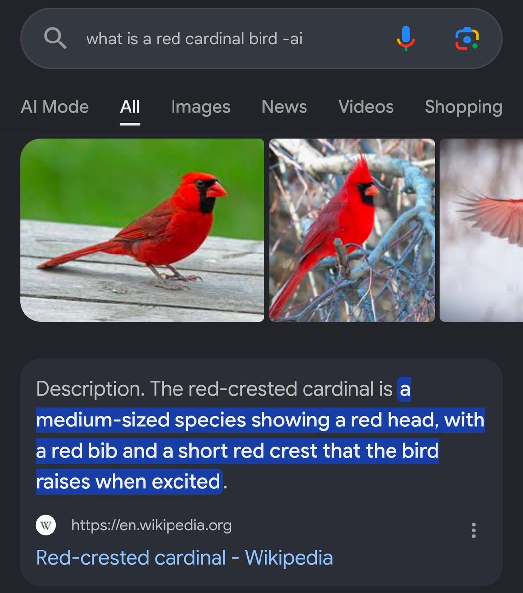 pearvoz's tweet photo. Fun Fact: 
as of right now, you can do any search and not have an ai overview if you just add "-ai" and the end of it https://t.co/ayABGABZ3X