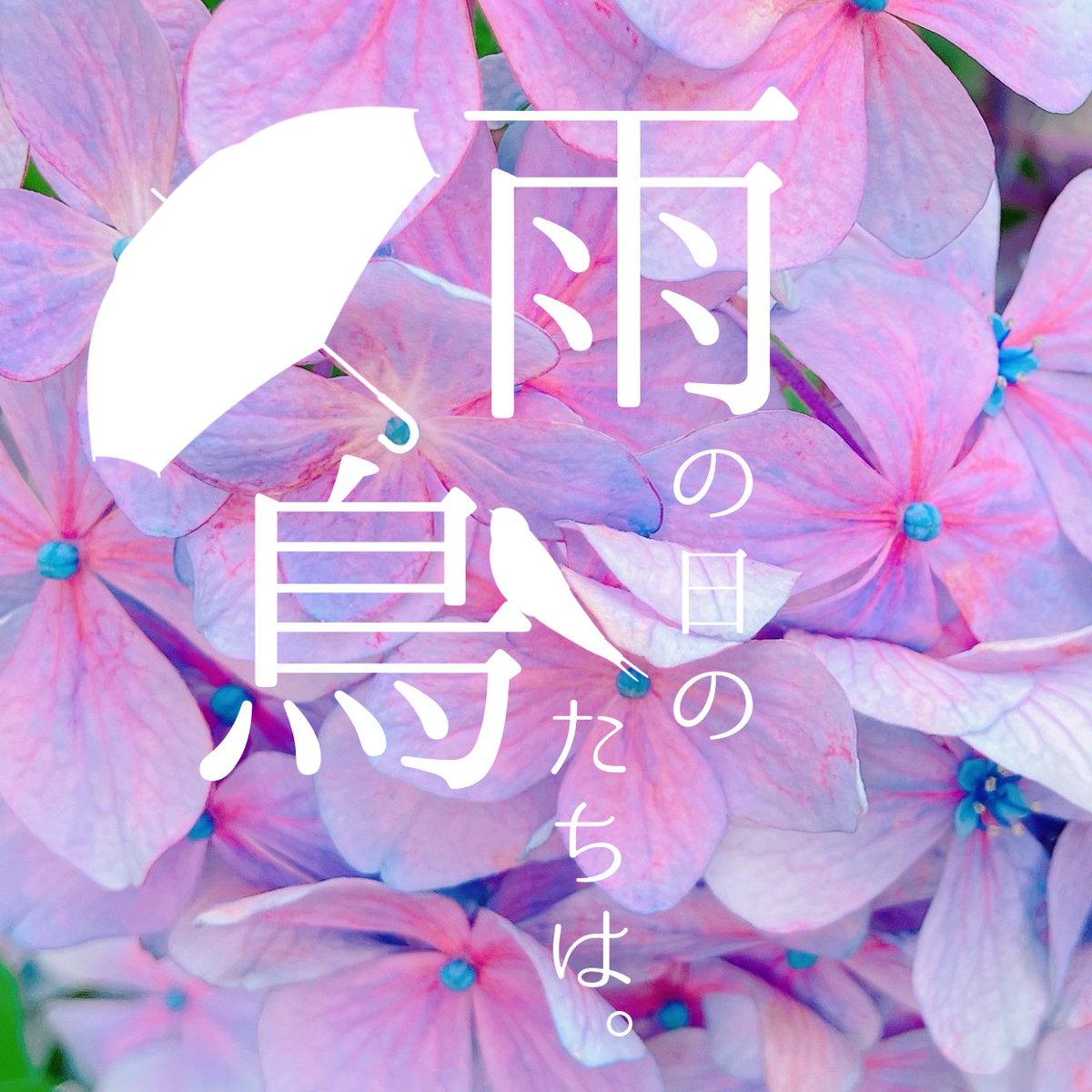 ほたる (@hotaru_1103) / Posts / X