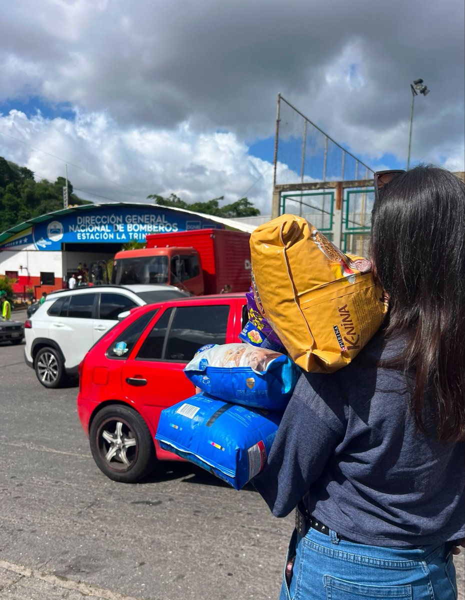 CleverSafo's tweet photo. Ya entregamos todas las donaciones que conseguimos recolectar! Fueron más de 50 kg de comida para perros y gatos repartidos entre Los Palos Grandes, Los bomberos y el Polideportivo de la trinidad!
En el polideportivo hay personas y mascotas afectadas, necesitan donaciones! 🐁 https://t.co/PeQOgSH50d