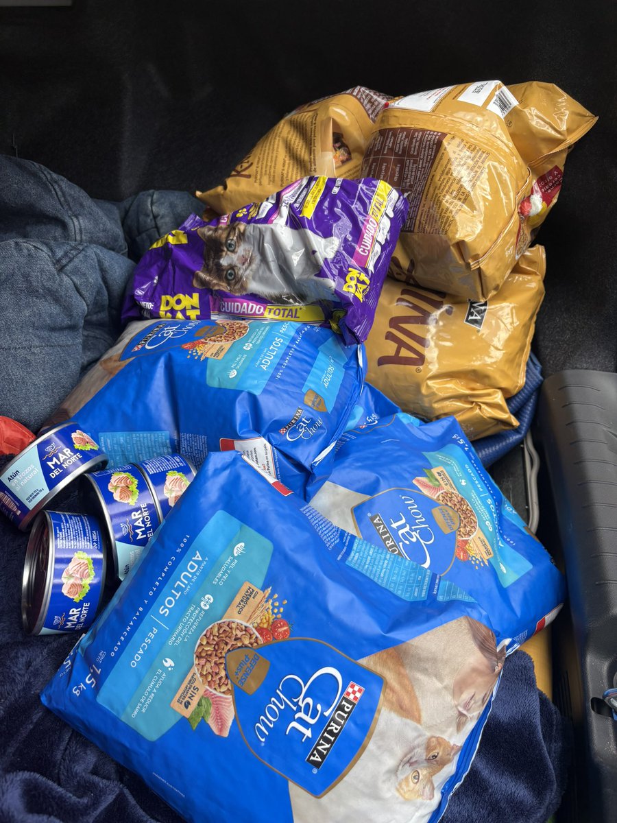 CleverSafo's tweet photo. Ya entregamos todas las donaciones que conseguimos recolectar! Fueron más de 50 kg de comida para perros y gatos repartidos entre Los Palos Grandes, Los bomberos y el Polideportivo de la trinidad!
En el polideportivo hay personas y mascotas afectadas, necesitan donaciones! 🐁 https://t.co/PeQOgSH50d