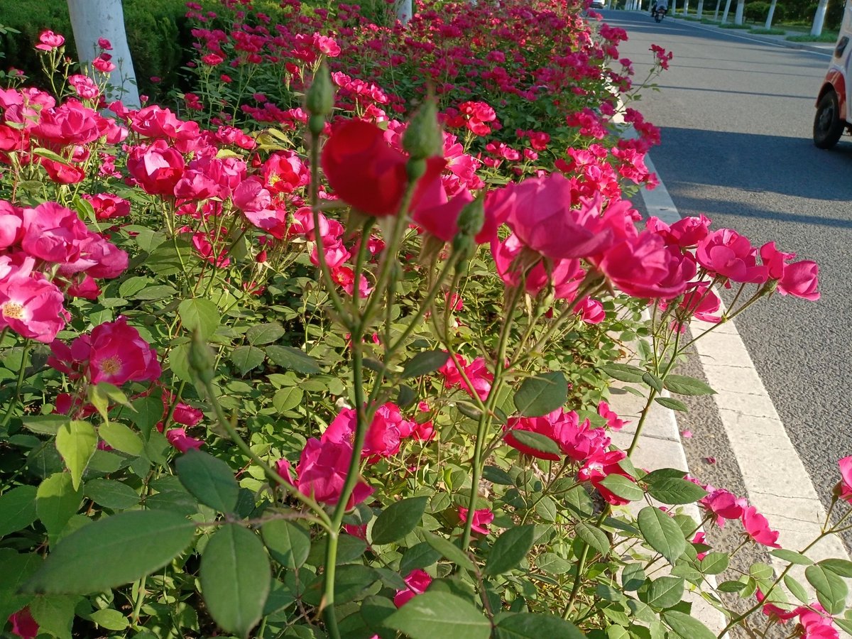 JuliethRivera28's tweet photo. New to photography Start small: grab your phone, practice basic rule of thirds, and shoot everyday moments. No fancy gear needed to capture great shots!， https://t.co/8BpDBpvuiC