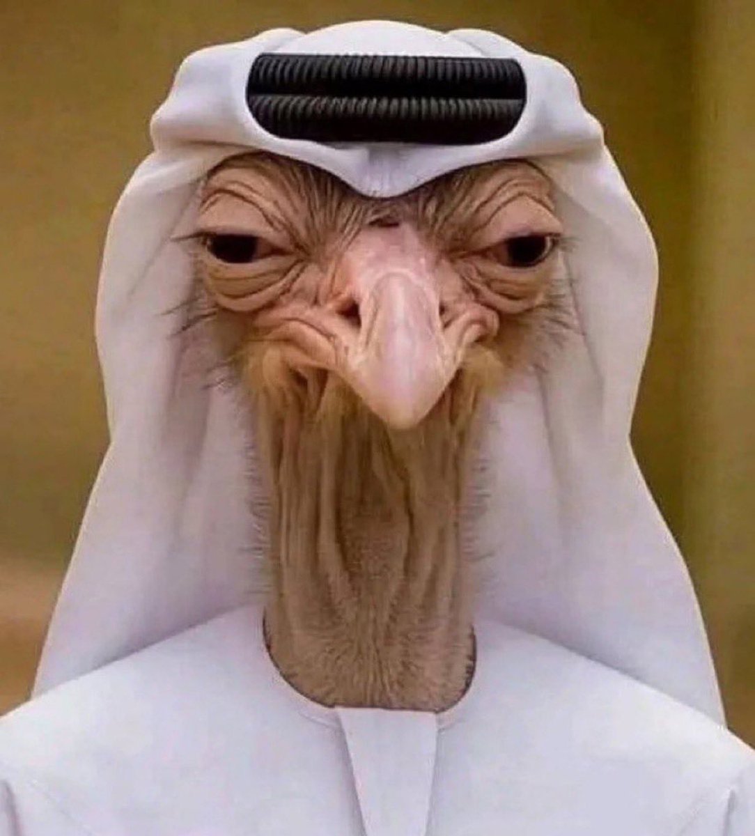 9b_sa's tweet photo. @Abdulkhaleq_UAE https://t.co/OxvRMUN1pD