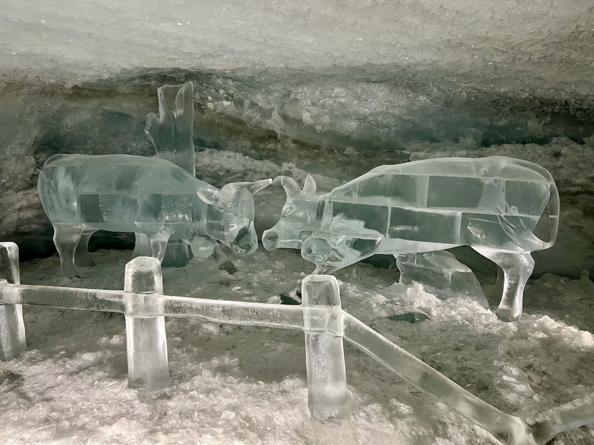 OliviaQLD's tweet photo. The glacier cave is 15m below the surface of the glacier. Very cold 🥶 The ice sculptures were very impressive. https://t.co/0yU0oyeoJx