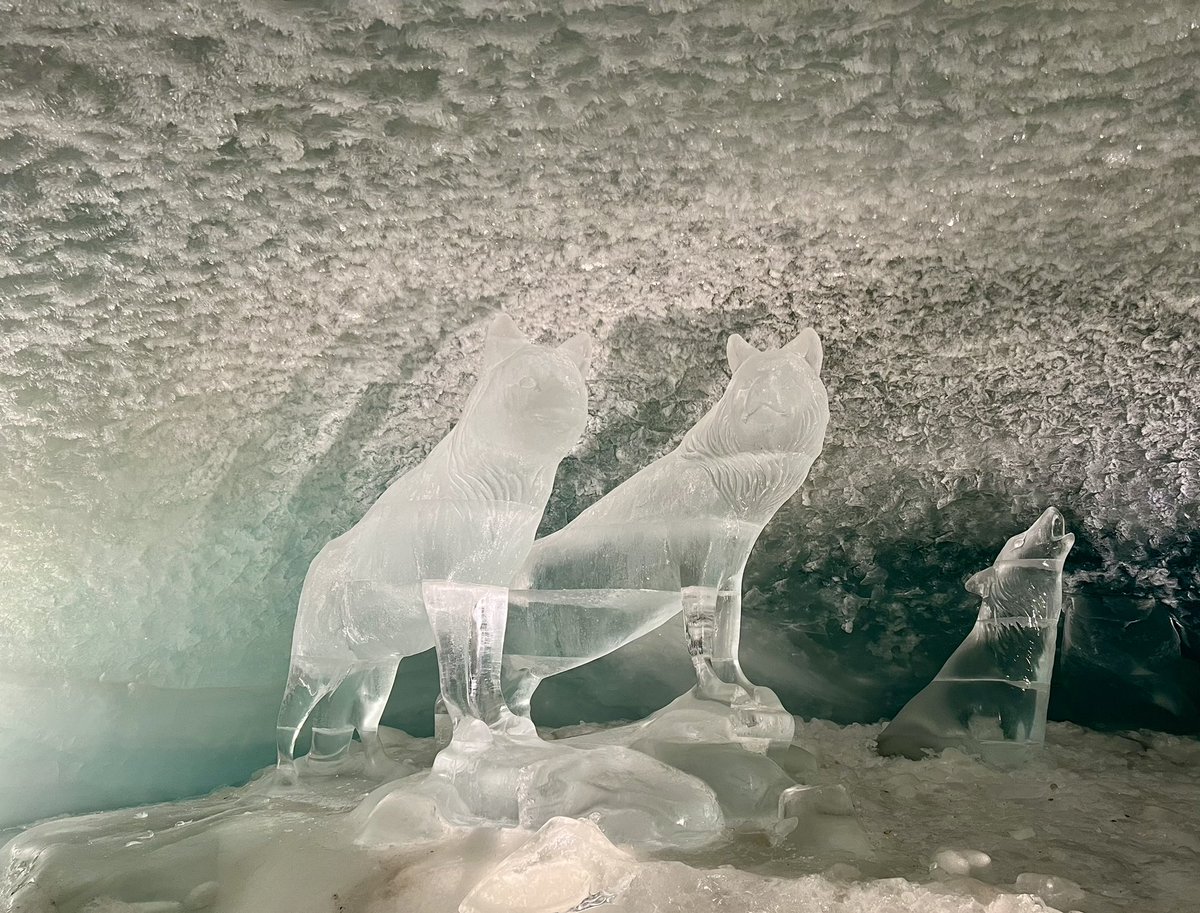 OliviaQLD's tweet photo. The glacier cave is 15m below the surface of the glacier. Very cold 🥶 The ice sculptures were very impressive. https://t.co/0yU0oyeoJx