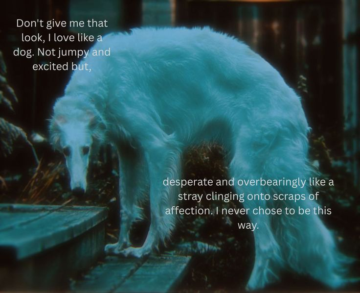 DoggyPosting's tweet photo. https://t.co/o2JJNNCif8