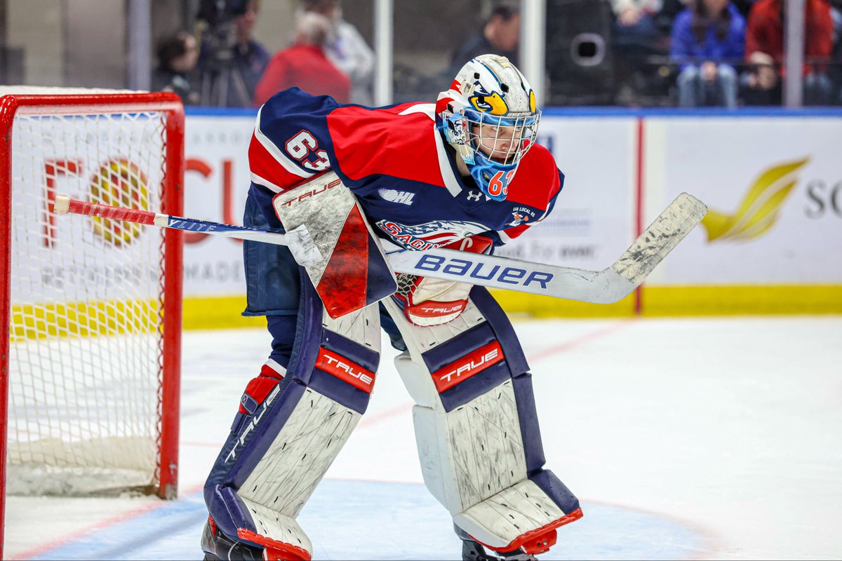 SpiritHockey's tweet photo. 🔥🦈🍁⚡️ https://t.co/VbIA2YgJha