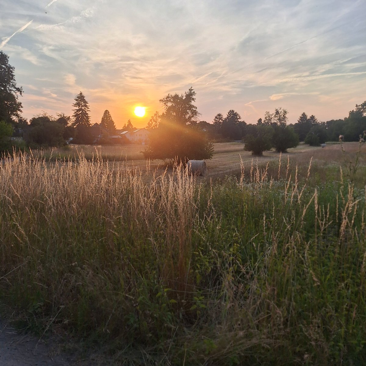 bsievers1994's tweet photo. Sommerabend in Ewwerscht 😎🌞 https://t.co/EPgtlncMqO