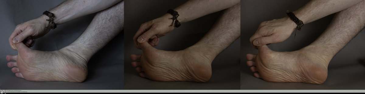 NullEntityStock's tweet photo. More foot stock
https://t.co/tACoSWmBcC
And @AdorkaStock and I have a book for loads more foot references if you need them!
https://t.co/IWKtXKRync
#FreeStock #FreeStockImage #ArtReference #creativecommons #foot #feet #anatomy #toes https://t.co/rVXkJuhxo3