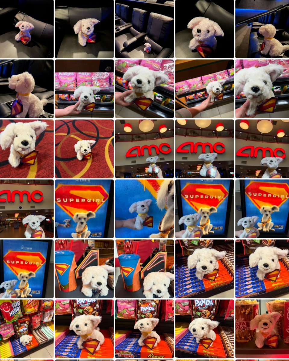 AMCTheatres's tweet photo. Our camera roll this weekend. 🐾 Get tickets: https://t.co/REjDCuKetx https://t.co/aqobsLQDk4