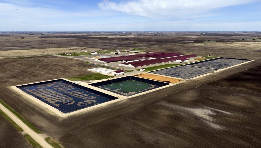eDairyNews's tweet photo. #WeeklyNews / MN Mega-#Dairy Wins Big: State OKs Huge 19K #Cow Expansion. Read the News 👉 https://t.co/NSJmNADVzU https://t.co/lXT1sOuBJN