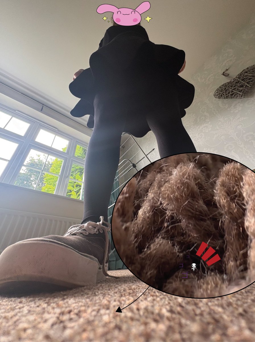 BunnyBite3's tweet photo. Bunny Photo Commission 💜

Thank you to @NastyThing97701 for the generous commission to become microscopic on my floor 🥰

He's been down there for days in the carpet... so tiny I will never EVER notice him 😐

Is he finally gonna become permanent floor dirt under my shoe?? https://t.co/5AFKWpa0NZ