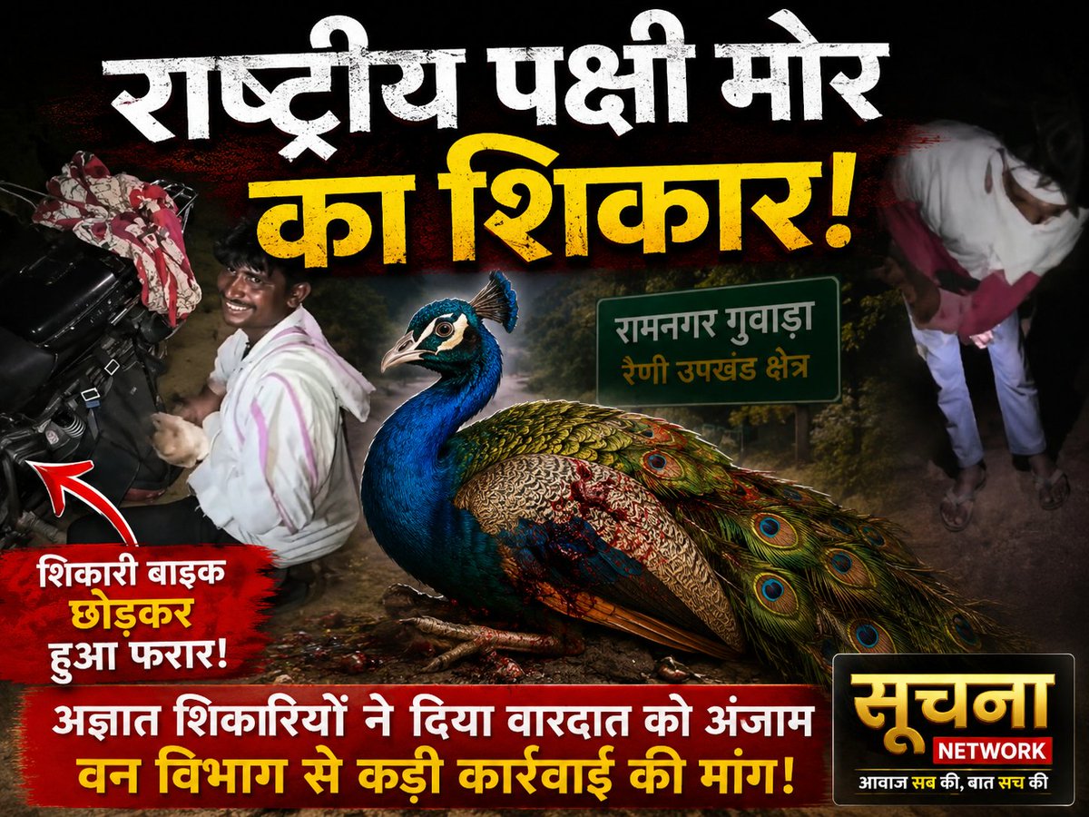 SoochnaNetwork's tweet photo. राष्ट्रीय पक्षी मोर का शिकार। शिकारी बाईक छोड़कर हुआ फरार https://t.co/StoifwqwkO