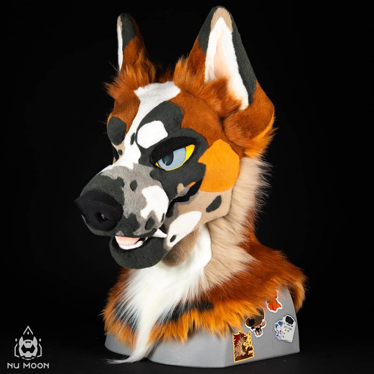 NU_M00N's tweet photo. Panda shep is officially pending! ✴️💕 https://t.co/E9KOAJVSpD