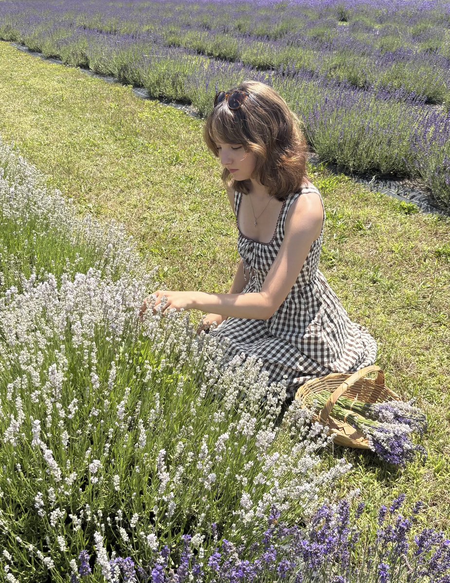 lacedzyn's tweet photo. I love lavender!!!!!!! :D https://t.co/sqcnA0yUFf