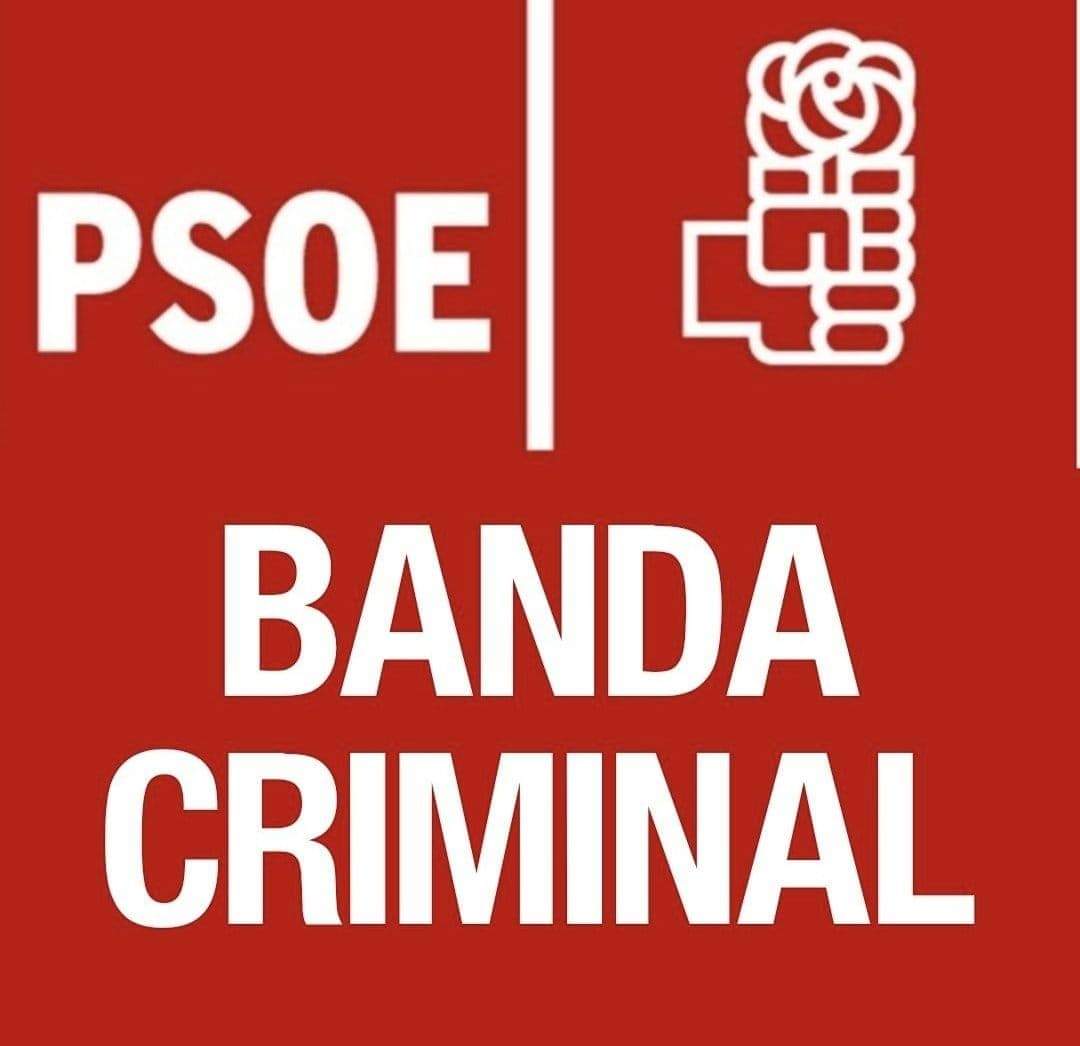 limite_chandra's tweet photo. @salvadorilla @sanchezcastejon https://t.co/Oc0YSl3T5V