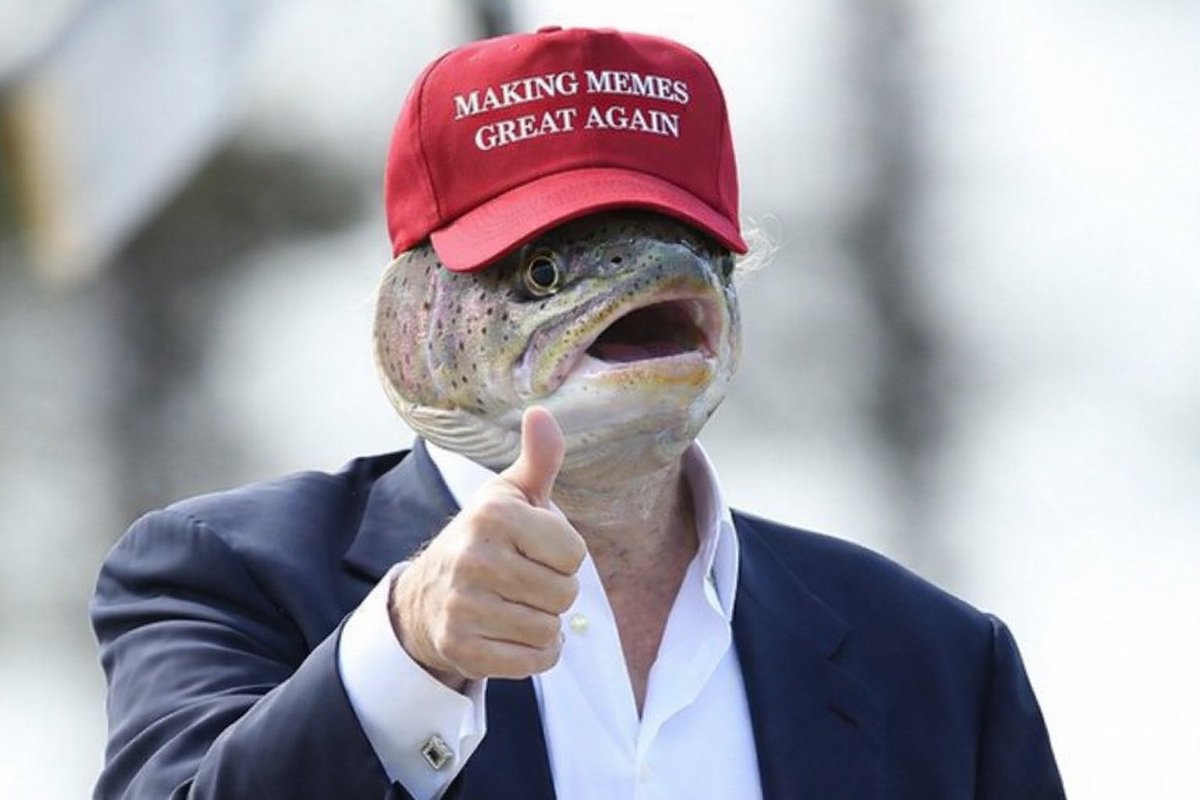 bitcoinmaxing's tweet photo. @ElonMuskPDA Pamp it 

$BigTrout’s gonna be YUGE

Great investment if you ask me 👀 https://t.co/ti7qujcNC4
