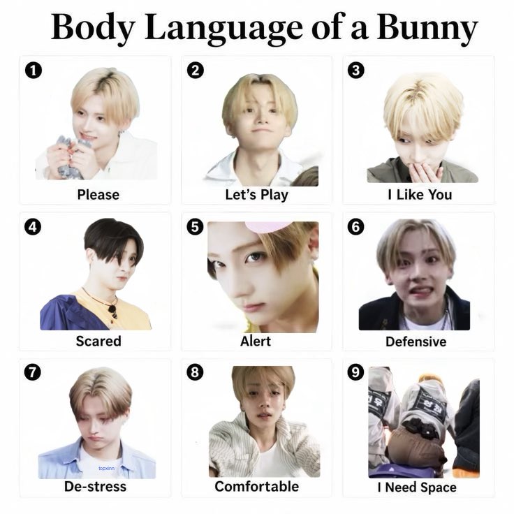 topxinn's tweet photo. body language of a bunny https://t.co/9tnyYVv8s7