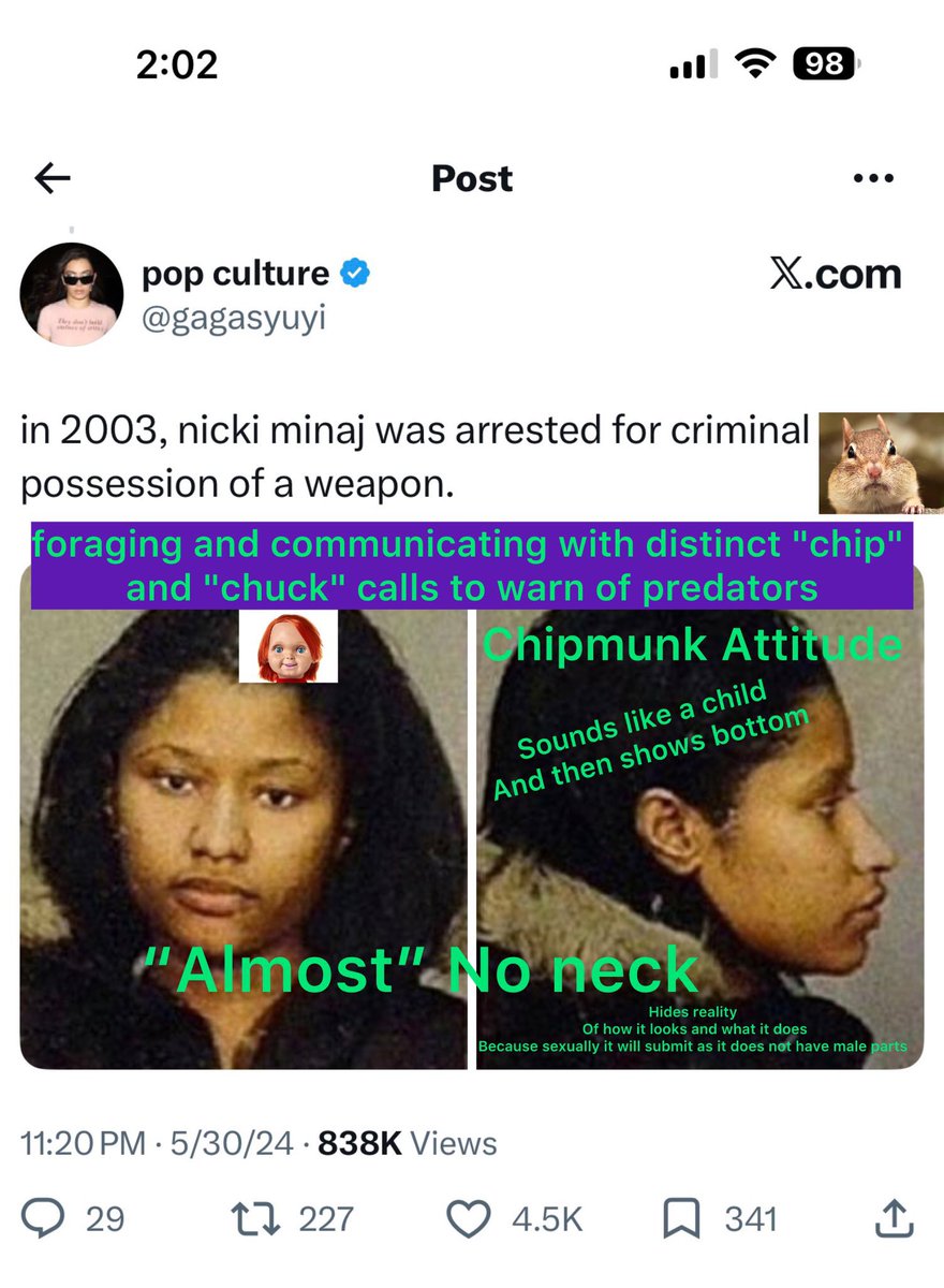 chrisabowman's tweet photo. @FeelTheBass86 She needs to go to jail for for chuckin’ @NICKIMINAJ https://t.co/Is9ua3vPZN