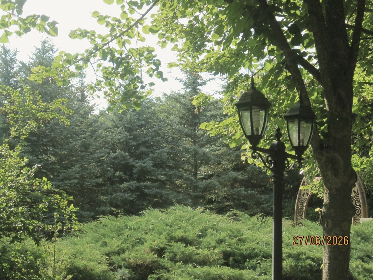 2Rimmaheyy's tweet photo. breathing in the calm.

#nature #naturephotography #greenery #botanical #garden  #fairytale #aesthetic #photography #oldcamera https://t.co/kbGPQF9VnH