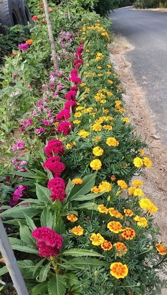 DFfreakin's tweet photo. Neighborly win! Shared my extra homemade apple pie with the family next door, and they dropped off fresh garden tomatoes for me. Small acts make big days ， https://t.co/Fqaddlr0Fs