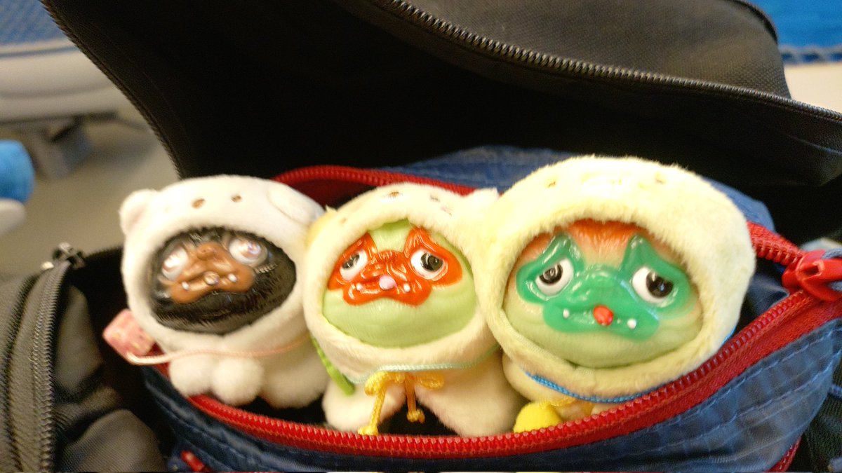 あきぱぐ🐶パグ獣作ったひと🪇 (@pugchaa) / Posts / X