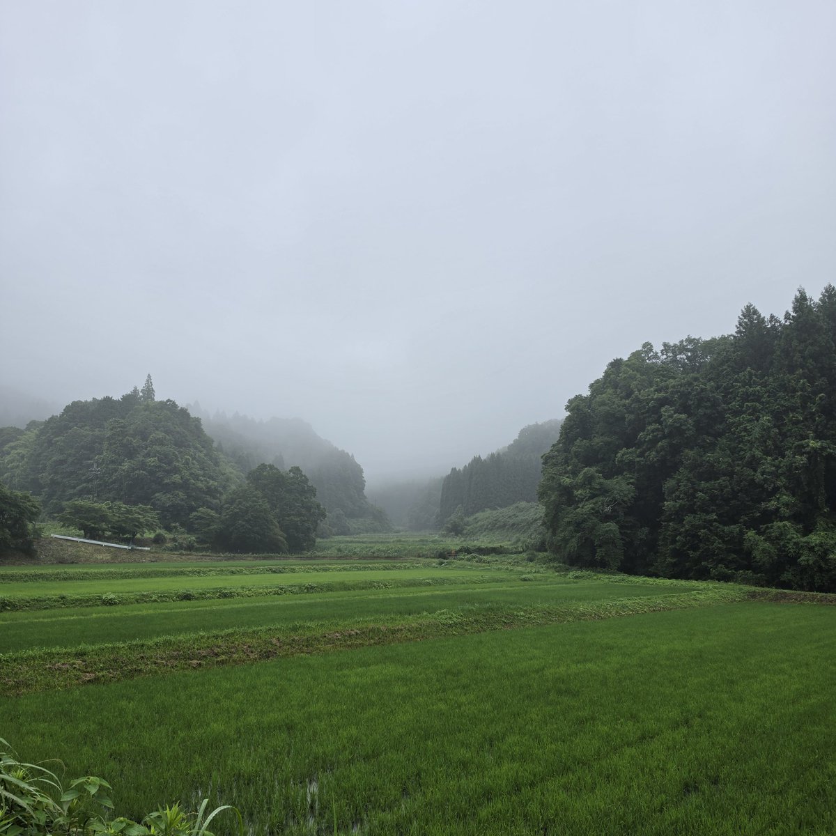 yk10415's tweet photo. おはようございます。6月28日(日)午前6時20分頃の景色。外気温18.8℃です。雨。Nara Uda Galaxy S26Urtla https://t.co/vwPy8Gaata