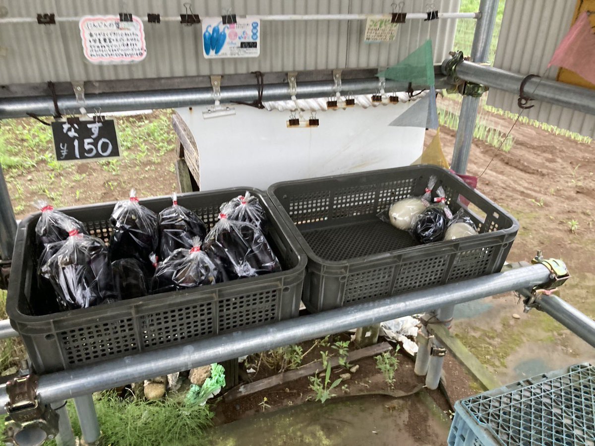 muddy_farm's tweet photo. 6/28 5:20
無人販売よろしくお願いします https://t.co/efrasdGCln